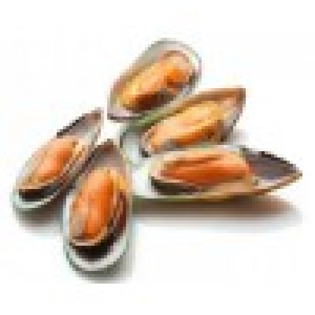 Mussels